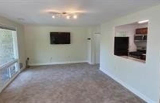 541 WILSON BRIDGE Drive