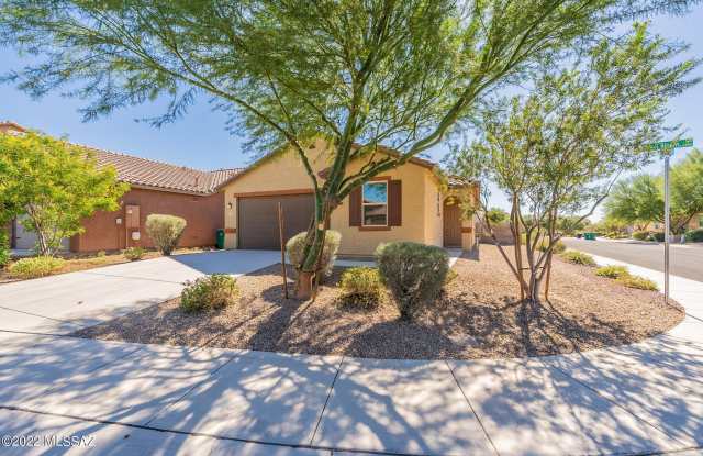 11751 W Boll Bloom Drive