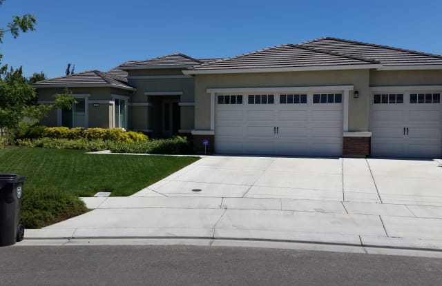 1210 Elm Ridge St - 1210 Elm Ridge St, Manteca, CA 95336