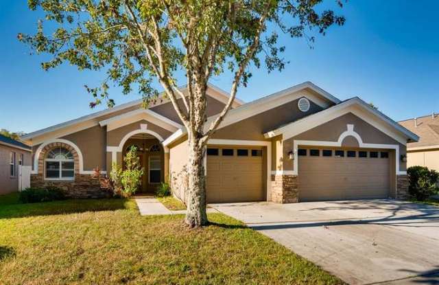 19730 Ellendale Drive - 19730 Ellendale Drive, Pasco County, FL 34638