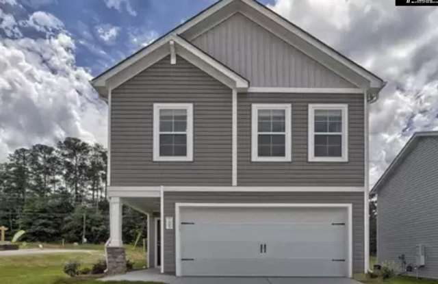 323 Longstone Court - 323 Longstone Court, Richland County, SC 29223