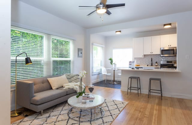 Photo of Sienna on Sanborn