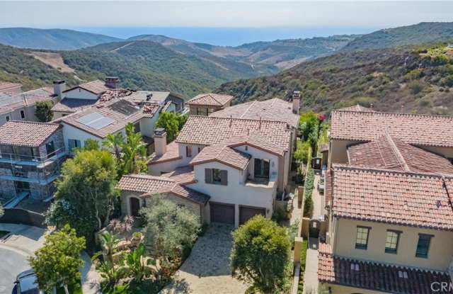 Photo of 4 Star Catcher