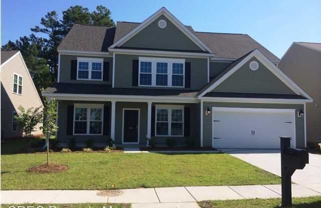 114 Firethorn Drive - 114 Firethorn Drive, Goose Creek, SC 29445