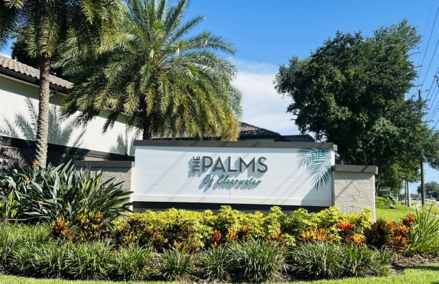 Palms of Clearwater