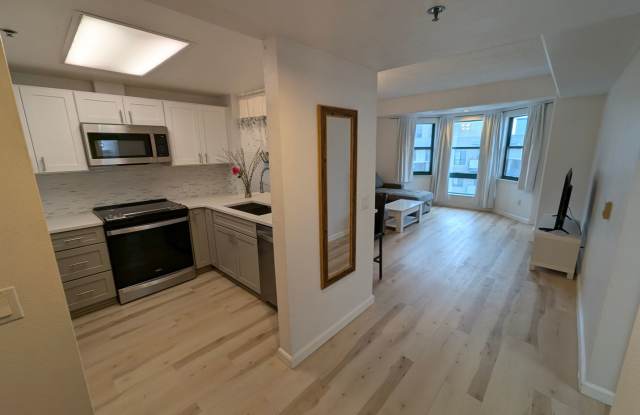 Well-Lit 1 Bedroom, 1 Bathroom Condo in Oakland Chinatown