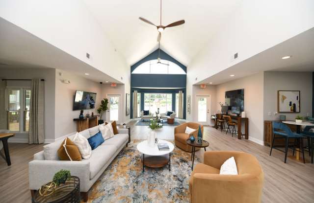 Photo of Vetra Asheville