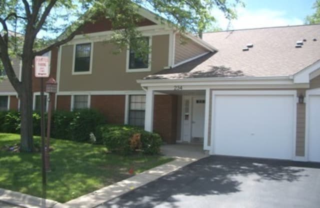 234 Deerpath Court - 234 Deerpath Court, Schaumburg, IL 60193