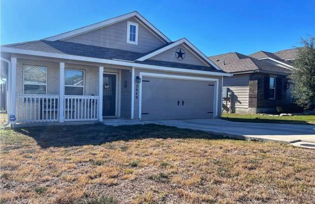 Photo of 2049 Meadow Pipit