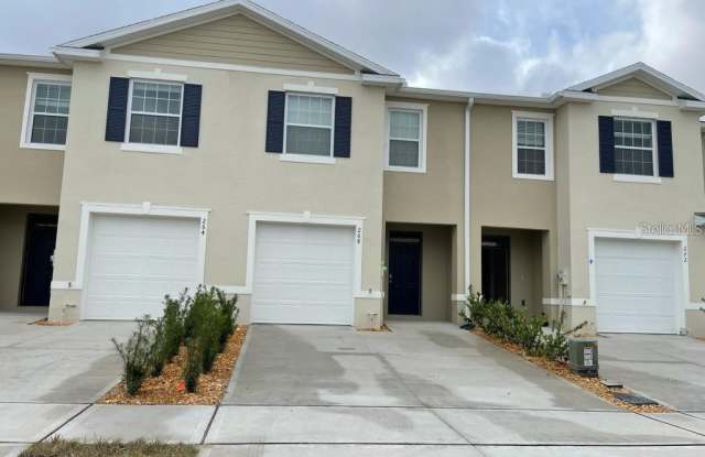 268 FELTRIM RESERVE BOULEVARD - 268 Feltrim Reserve Boulevard, Polk County, FL 33837