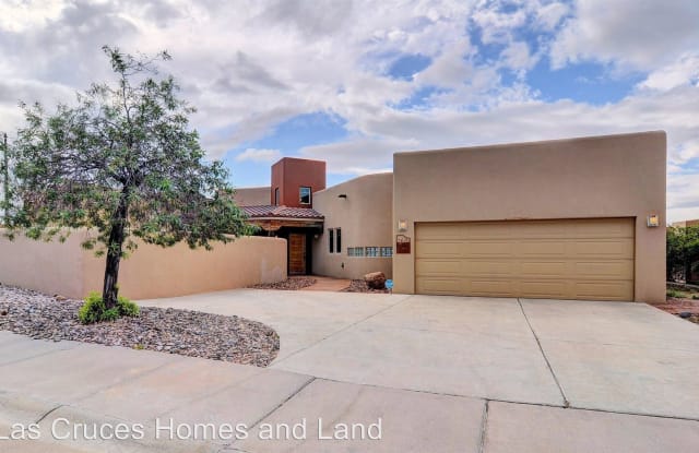 2601 Poco Lomas Court - 2601 Pocolomas Ct, Las Cruces, NM 88011