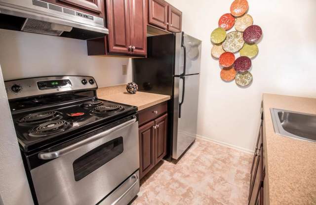 Photo of Forest Creek