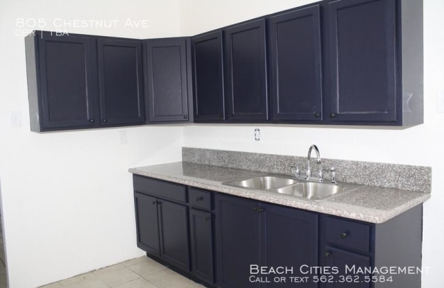 805 Chestnut Ave - 805 Chestnut Avenue, Long Beach, CA 90813