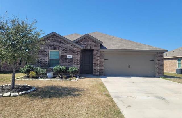 916 Community Way - 916 Community Way, Josephine, TX 75189