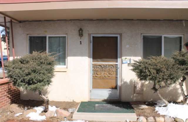 Photo of $758 | 1BR/1BA | Cat Friendly Condo for rent in Colorado Springs