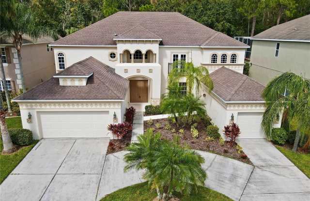 3453 LOGGERHEAD WAY - 3453 Loggerhead Way, Wesley Chapel, FL 33544