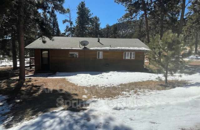 1409 Old Wagon Road - 1409 Old Wagon Road, Teller County, CO 80863