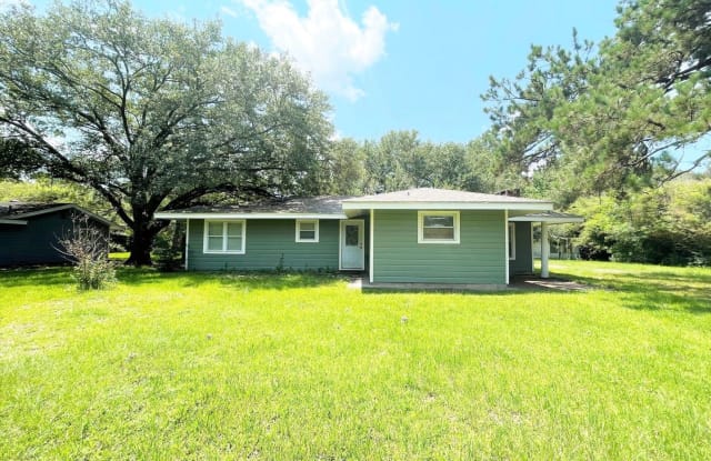 13375 Blackgum Street - 13375 Blackgum Street, Bevil Oaks, TX 77713