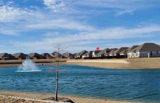 916 Elizabeth Street