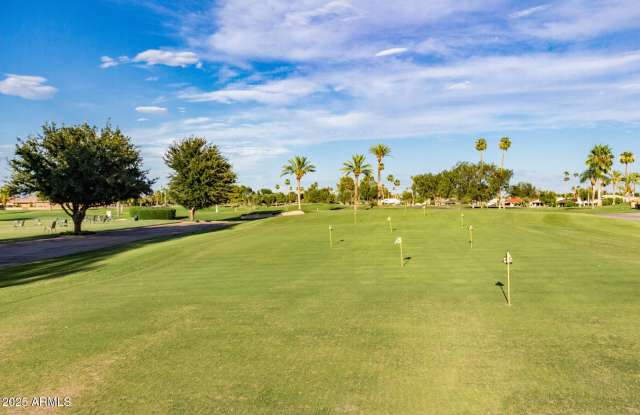 19446 N STAR RIDGE Drive