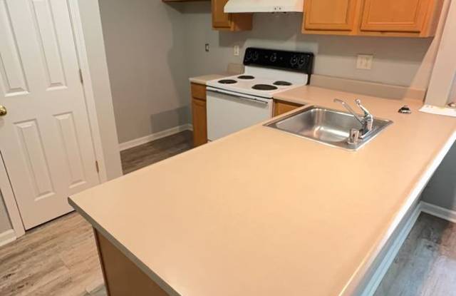 1 Bedroom 1 Bathroom Apartments Available in Georgetown!