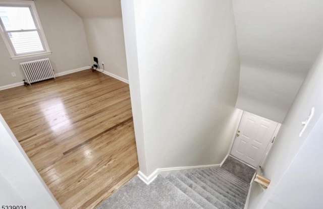221 David Hooper P