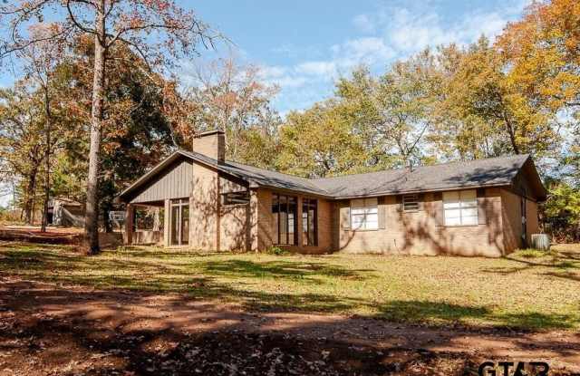 15458 State Hwy 110 S