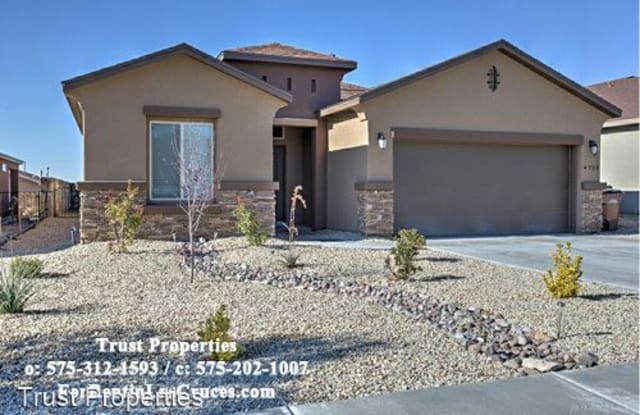 4709 Whitney Pl - 4709 Whitney Place, Las Cruces, NM 88012