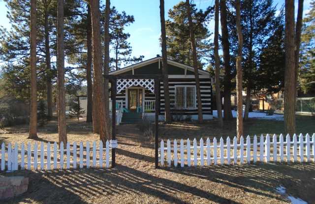 Remodeled historic home in the heart of Woodland Park - 202 North West Street, Woodland Park, CO 80863