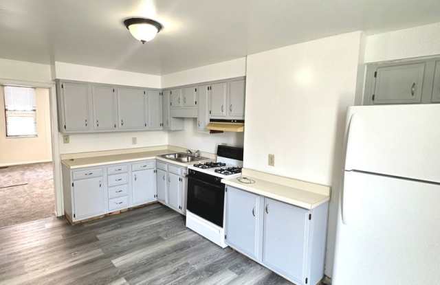 Updated 1 Bed, 1 Bath First Floor Unit in South Side - Private Entrance, Laundry in Basement - Available July 1!