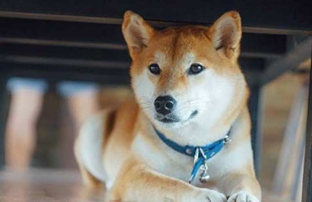 Photo of Laguna Reserve