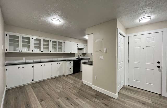 Contemporary 2 Bedroom / 1 Bath in Charming Cliff-Cannon Suburb