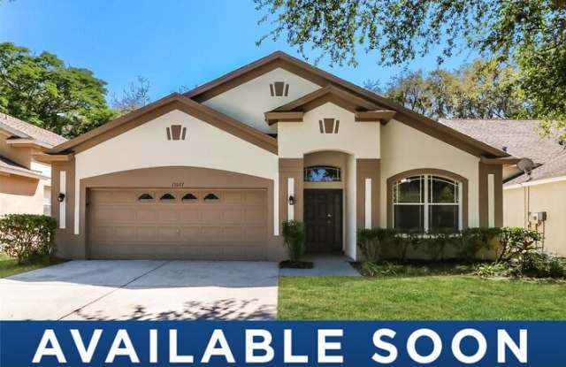 13037 Terrace Springs Drive - 13037 Terrace Spring Drive, Temple Terrace, FL 33637