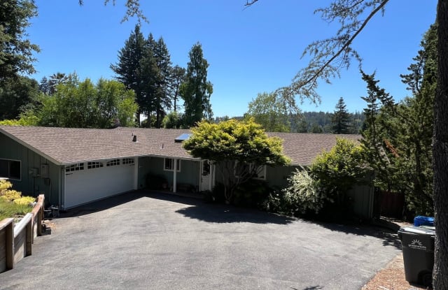 310 Sherman Drive - 310 Sherman Drive, Scotts Valley, CA 95066