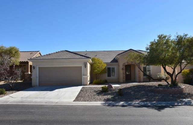 Gorgeous 2 Bedroom + Den Columbia in Sun City Anthem - 2196 Twin Falls Drive, Henderson, NV 89044