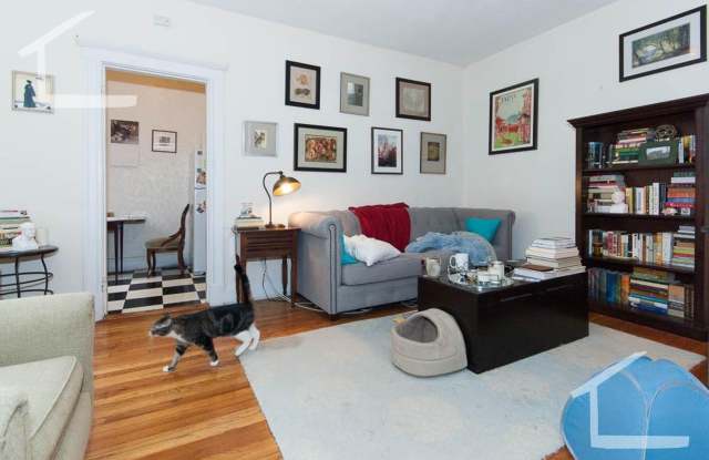 Large updated 2 bedroom unit in Allston!