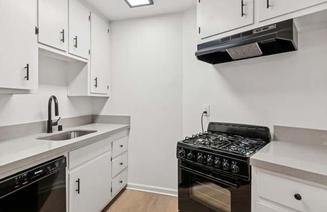 Photo of ReNew Arden