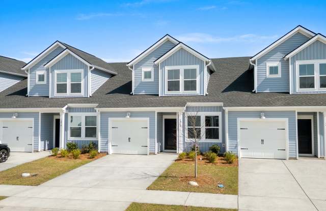 1212 Blueback Herring Way - 1212