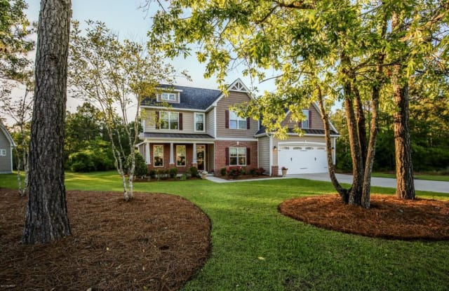 107 Shoveler Court - 107 Shoveler Court, Onslow County, NC 28460