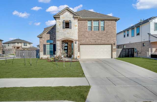 Photo of 4803 park leaf