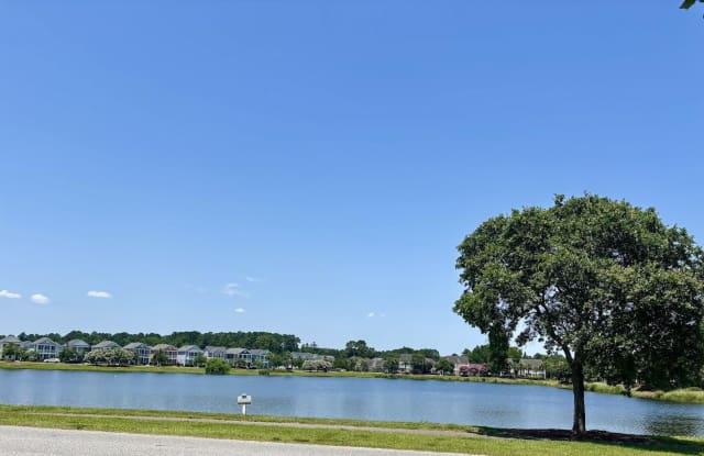 1725 Brittlebush Lane Lane