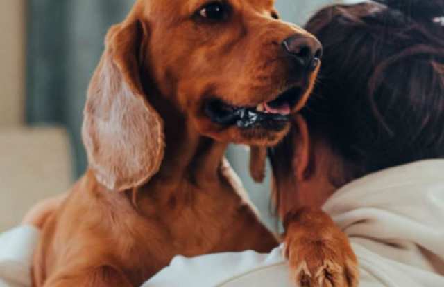 12413 Tech Ridge Blvd, #1018