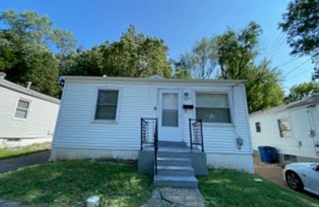 122 Anabel Ave - 122 Anabel Avenue, Ferguson, MO 63135