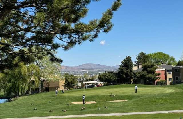 1951 Mountain Vista Way