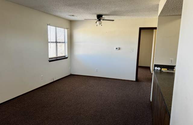 1035 South Kansas Avenue - Apt 4