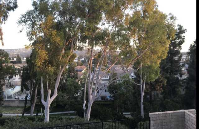 1930 Los Alamitos Drive