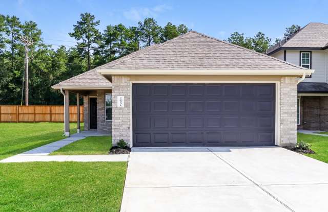 22231 Red Knot Run - 22231 Red Knot Run, Montgomery County, TX 77372