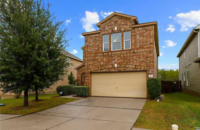 11009 Helms Deep Drive - 11009 Helms Deep Drive, Austin, TX 78754