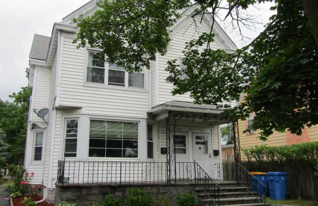 393 ALBANY Avenue