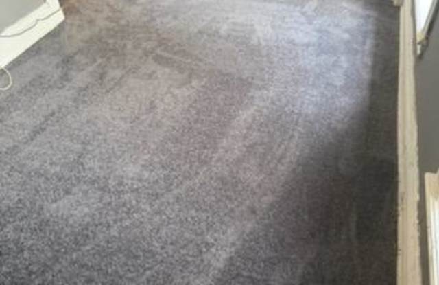 Photo of 537 Flint Street